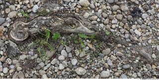 Photo of Various Textures